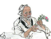 解密“金元四大家”：将中医系统分成了四大学派