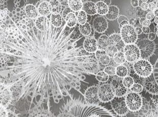 爱尔兰艺术家创作三维剪纸 灵感来自培养皿