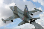 俄媒：加拿大军机误炸 致9名伊拉克政府军死亡