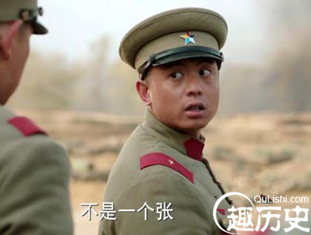 少帅中张廷枢扮演者是谁 他和张学良是什么关