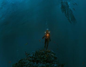 深海不可能有生命却惊现不明生物 难道是海底人？