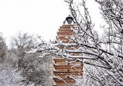 海南历史上曾8次下雪 盘点海南古代降雪记录