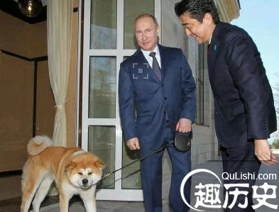 从未出过军营的日本自卫队机枪都不会用？（图）
