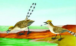 辽西发现最古老鸟类食团化石：首揭鸟类食鱼证据