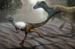 中国发现最小恐龙足迹：只有2厘米体长麻雀大小