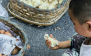 商贩露天孵小鸡 无锡马路温度高达50度刚好孵化
