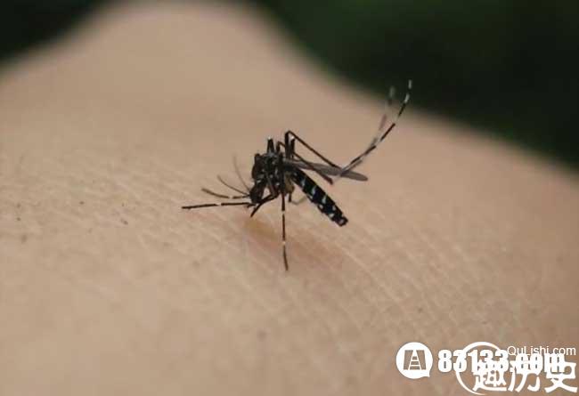 蚊子喜欢叮咬什么血型的人