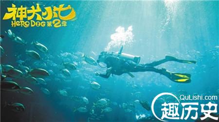神犬小七第二季第37集 鲍宇苦练自由潜水