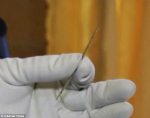 世界最古老针被发现：长3英寸 古代鸟骨制成