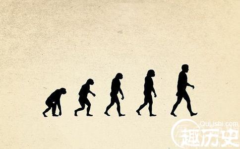 人类进化之谜:人类还会继续进化吗?