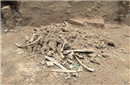 考古发现4千年前地震现场灾害场面惨烈