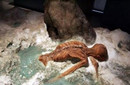 未解之谜：千年前奥兹冰人神秘死亡