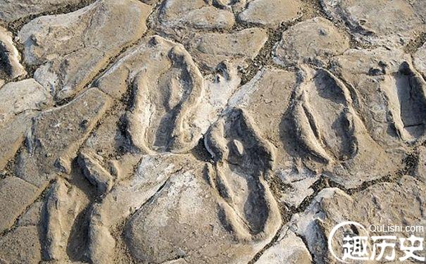 古人类脚印化石
