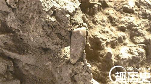 法国考古惊现56万年前人类牙齿
