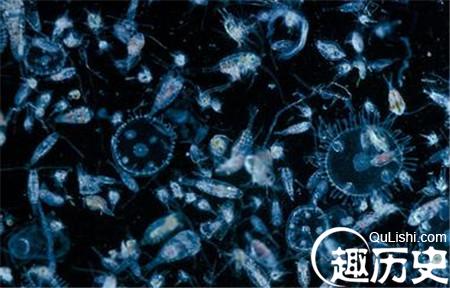 科学家或发现30亿年前的超古老浮游生物