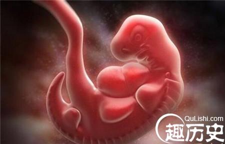 1485419025738786.jpg 2_副本.jpg