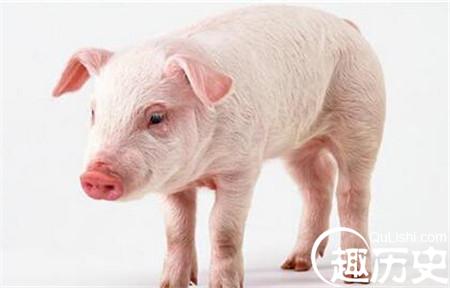 1485599448109368.jpg 1_副本.jpg