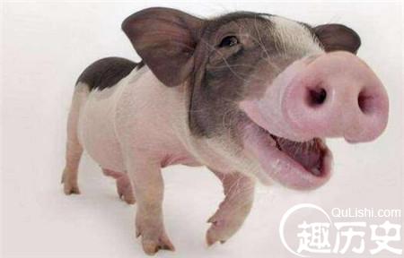 1485599452760394.jpg 2_副本.jpg