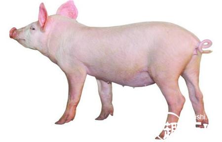 1485599458898086.jpg 3_副本.jpg