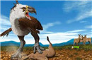 揭秘：考古发现5000万年前“恐怖鸟”