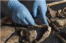英国考古新发现 罗马古墓挖出亚洲人尸骸