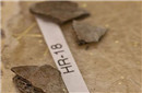 阿拉斯加发现万年孩童骨骼：或曾被火化