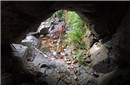 京畿重地凤凰山 竟现含动物灰烬洞穴