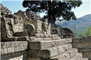考古发现古玛雅王子古墓：遗骸变成化石