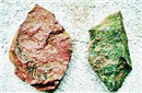 漯河市发现旧石器 初步判断已有10万年