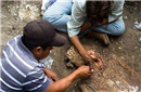 墨西哥考古学家发现用活人殉葬金字塔古墓