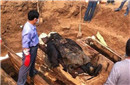 村民挖出400年前古墓尸体 保存完好犹如活人