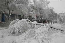 雪灾袭击我国南方十多个省区