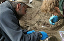 考古发现1万年古墓 墓内惊现北美最早居民遗骸