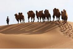 汉武帝的西域大战略：创建了第一笔&ldquo;丝路基金&rdquo;