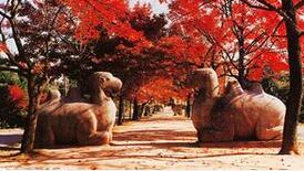 康熙六扫朱元璋墓：为何必三跪九叩祭拜