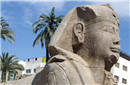 埃及惊现12尊2300多年前狮身人面像