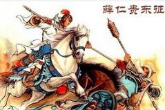 唐代名将​薛仁贵为何会被自己的儿子射死？