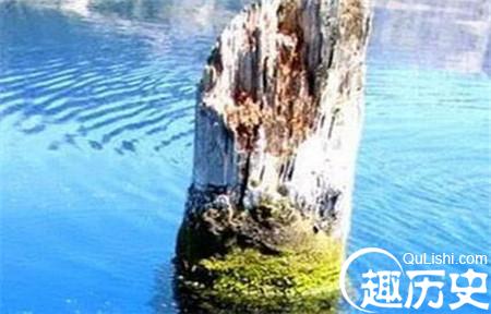 1485924944381005.jpg 2_副本.jpg