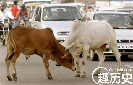 1485933455544936.jpg 1_副本.jpg