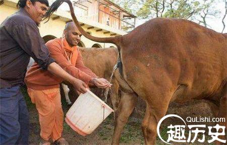 1485933465800761.jpg 3_副本.jpg