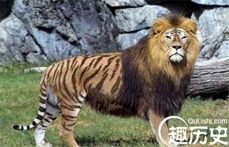 1485941487984872.jpg 1_副本3.jpg