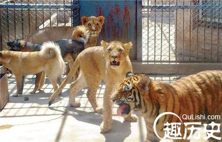 1485941493490455.jpg 2_副本3.jpg