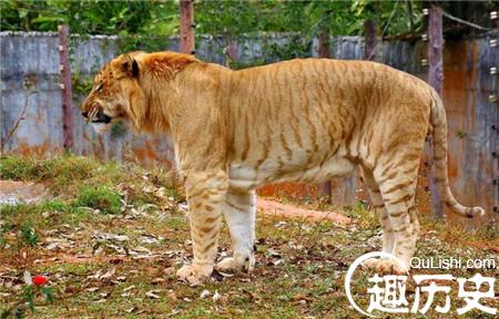 1485941500822122.jpg 3_副本3.jpg