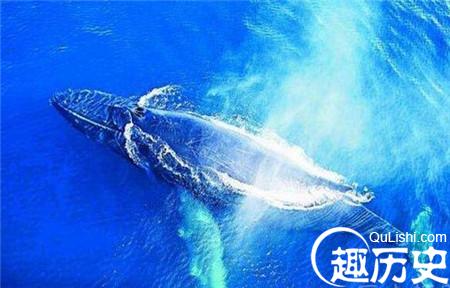 1486085480512072.jpg 1_副本1.jpg