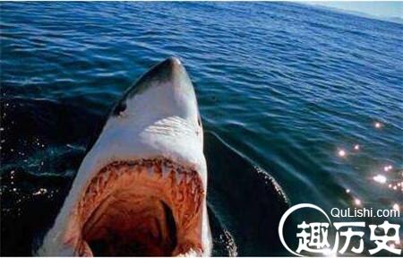 1486085485556257.jpg 2_副本1.jpg