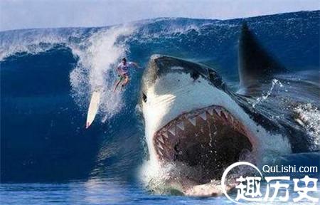 1486085490910023.jpg 3_副本1.jpg