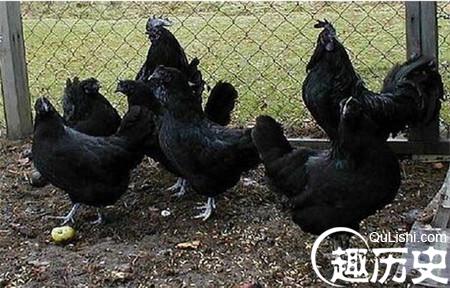 1486113261238414.jpg 1_副本.jpg