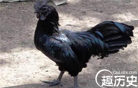 1486113272353275.jpg 3_副本.jpg