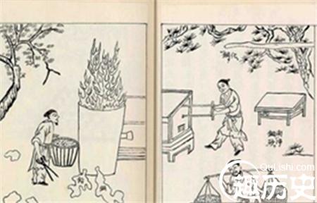 1486683181615237.jpg 180355451_副本.jpg