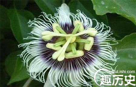 1486953847295167.jpg 1_副本.jpg